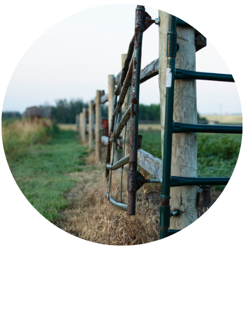 Fencing